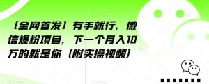 【全网首发】有手就行,微信爆粉项目,下一个月入10万的就是你(附实操视频)【揭秘】-虚拟资源库