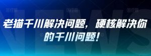 老猫千川解决问题,硬核解决你的千川问题!-虚拟资源库