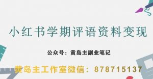 副业拆解：小红书学期评语资料变现项目，视频版一条龙实操玩法分享给你-虚拟资源库