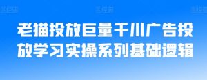 老猫投放巨量千川广告投放学习实操系列基础逻辑-虚拟资源库