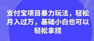 支付宝项目暴力玩法，轻松月入过万，基础小白也可以轻松拿捏【揭秘】-虚拟资源库