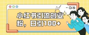 小红书引流创业粉，日引100+【揭秘】-虚拟资源库