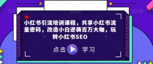 小红书引流培训课程,共享小红书流量密码,改造小白逆袭百万大咖,玩转小红书SEO-虚拟资源库