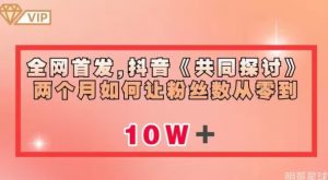 全网首发,抖音《共同探讨》两个月如何让粉丝数从零到10w【揭秘】-虚拟资源库