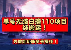 9月全网首发，单号直接白撸110！可多号操作，无脑搬运复制粘贴【揭秘】-虚拟资源库