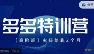 纪主任·多多特训营高阶班【9月13日更新】，拼多多最新玩法技巧落地实操-虚拟资源库