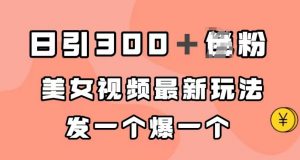 日引300＋男粉，美女视频最新玩法，发一个爆一个【揭秘】-虚拟资源库
