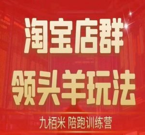 九栢米-淘宝店群领头羊玩法，教你整个淘宝店群领头羊玩法以及精细化/终极蓝海/尾销等内容-虚拟资源库
