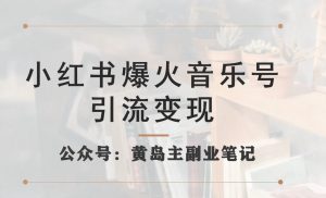 小红书爆火音乐号引流变现项目,视频版一条龙实操玩法分享给你-虚拟资源库