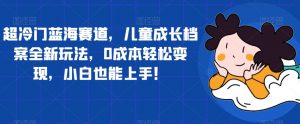 超冷门蓝海赛道，儿童成长档案全新玩法，0成本轻松变现，小白也能上手【揭秘】-虚拟资源库