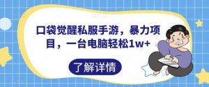 口袋觉醒私服手游，暴力项目，一台电脑轻松1w+【揭秘】-虚拟资源库