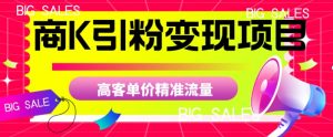 商K引粉变现项目,高客单价精准流量【揭秘】-虚拟资源库
