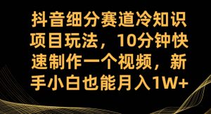 抖音细分赛道冷知识项目玩法，10分钟快速制作一个视频，新手小白也能月入1W+【揭秘】-虚拟资源库
