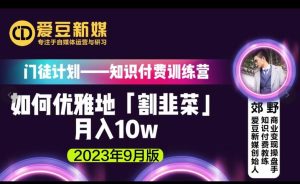 爱豆新媒：如何优雅地「割韭菜」月入10w的秘诀（2023年9月版）-虚拟资源库