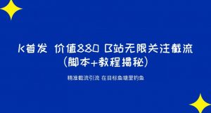 K首发价值880 B站无限关注截流精准引流（脚本+教程揭秘）-虚拟资源库