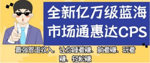 全新亿万级蓝海市场通惠达cps，最强管道收入，让你睡着赚、躺着赚、玩着赚、轻松赚【揭秘】-虚拟资源库