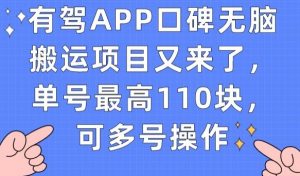 有驾APP口碑无脑搬运项目又来了，单号最高110块，可多号操作-虚拟资源库