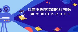 抖音小程序挂载风行视频,新手可日入200+-虚拟资源库