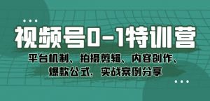 视频号0-1特训营:平台机制、拍摄剪辑、内容创作、爆款公式,实战案例分享-虚拟资源库