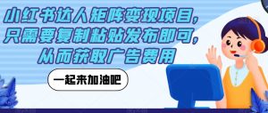 小红书达人矩阵变现项目，只需要复制粘贴发布即可，从而获取广告费用-虚拟资源库