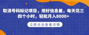 取消号码标记项目,用好信息差,每天花三四个小时,轻松月入8000+【揭秘】-虚拟资源库