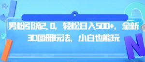 男粉引流2.0,轻松日入500+,全新3D图册玩法,小白也能玩【揭秘】-虚拟资源库