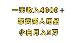 一天收入4000+，靠卖成人用品，小白轻松月入5万【揭秘】-虚拟资源库