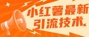 小红书最新引流技术，真正实现解放双手暴力引流-虚拟资源库