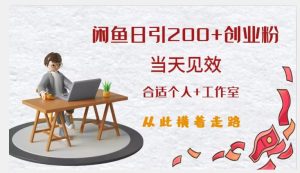 闲鱼精准引流创业粉，日引200+，当天见效，从此横着走-虚拟资源库
