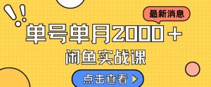 最新闲鱼日入500+,虚拟资料变现喂饭级讲解-虚拟资源库