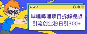 哔哩哔哩项目拆解引流创业粉日引300+小白可轻松上手【揭秘】-虚拟资源库