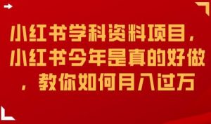 小红书学科资料项目，小红书今年是真的好做，教你如何月入过万【揭秘】-虚拟资源库