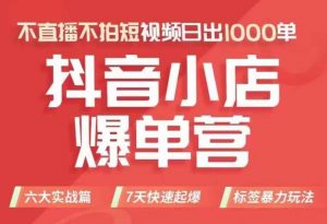 抖店商品卡运营班(8月份),从0-1学习抖音小店全部操作方法,不直播不拍短视频日出1000单-虚拟资源库