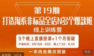 打造淘系非标全店N多个爆款线上课，​5天直播课-虚拟资源库