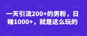 一天引流200+的男粉,日赚1000+,就是这么玩的【揭秘】-虚拟资源库