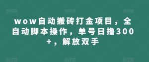 wow自动搬砖打金项目,全自动脚本操作,单号日撸300+,解放双手【揭秘】-虚拟资源库
