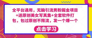 全平台通用，无脑引流男粉掘金项目+送原创美女写真集+全套软件打包，包过原创不限流，发一个爆一个【揭秘】-虚拟资源库