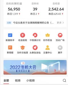 全新蓝海，西瓜视频流量掘金项目，简单上手适合0基础小白，暴力玩法日入500＋【揭秘】-虚拟资源库