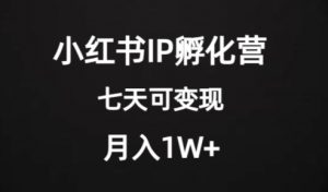 价值2000+的小红书IP孵化营项目,超级大蓝海,七天即可开始变现,稳定月入1W+-虚拟资源库