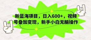 新蓝海项目，日入600+，视频号叠加变现，新手小白无脑操作【揭秘】-虚拟资源库
