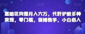 靠暗区突围月入六万，代肝护航多种变现，零门槛，保姆教学，小白必入【揭秘】-虚拟资源库