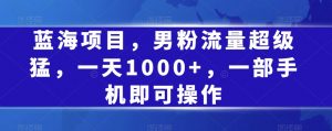 蓝海项目,男粉流量超级猛,一天1000+,一部手机即可操作【揭秘】-虚拟资源库