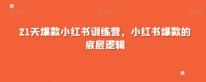 21天爆款小红书训练营，小红书爆款的底层逻辑-虚拟资源库