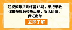 短视频带货训练营18期,手把手教你做短视频带货出单,听话照做,保证出单-虚拟资源库