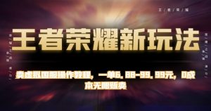 王者荣耀新玩法，卖虚拟国服操作教程，一单6.88-99.99元，0成本无限贩卖【揭秘】-虚拟资源库