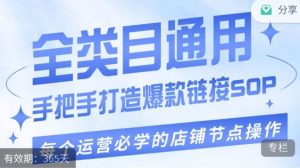 单品爆款打造实操运营，单品爆款从“0”-“1”手把手演练运营步骤-虚拟资源库