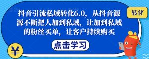 抖音引流私域转化6.0,从抖音源源不断把人加到私域,让加到私域的粉丝买单,让客户持续购买-虚拟资源库
