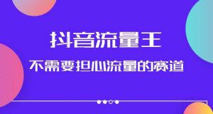 抖音流量王,不需要担心流量的赛道,美女图文音乐号升级玩法(附实操+养号流程)-虚拟资源库