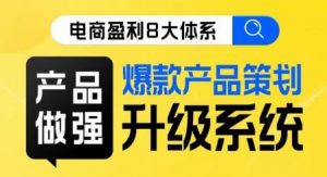 电商盈利8大体系 ·产品做强爆款产品策划系统升级线上课,全盘布局更能实现利润突破-虚拟资源库