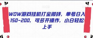 WOW游戏挂机打金搬砖，单号日入150-200，可多开操作，小白轻松上手【揭秘】-虚拟资源库